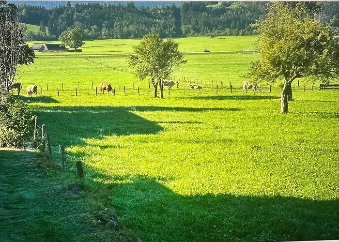 Gemuetliche Kleine Wohnung Mit Garten