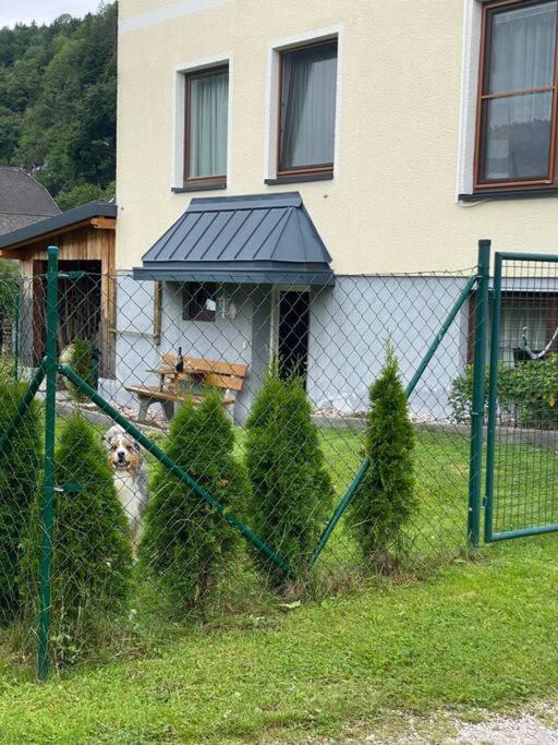 Gemuetliche Kleine Mit Garten Unterburg (Liezen)