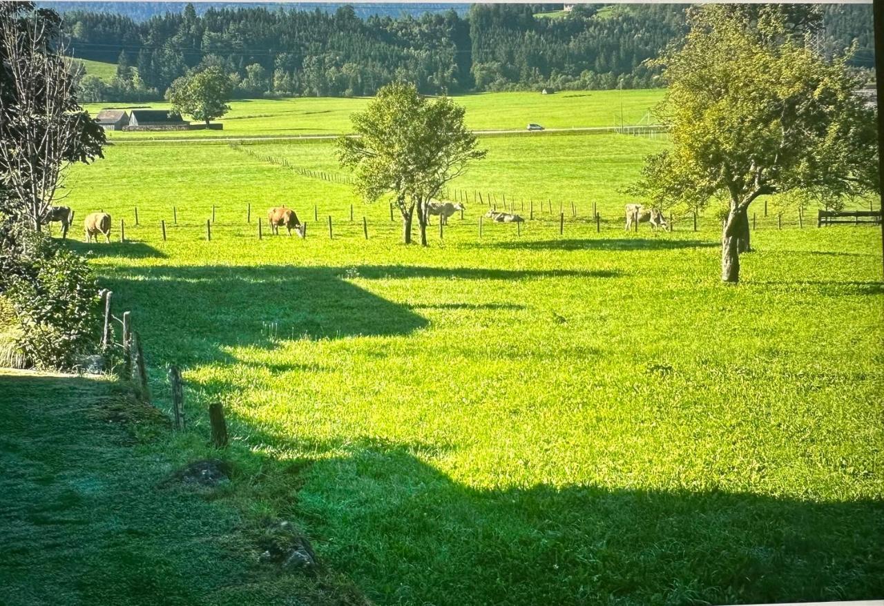 Gemuetliche Kleine Mit Garten Apartment *